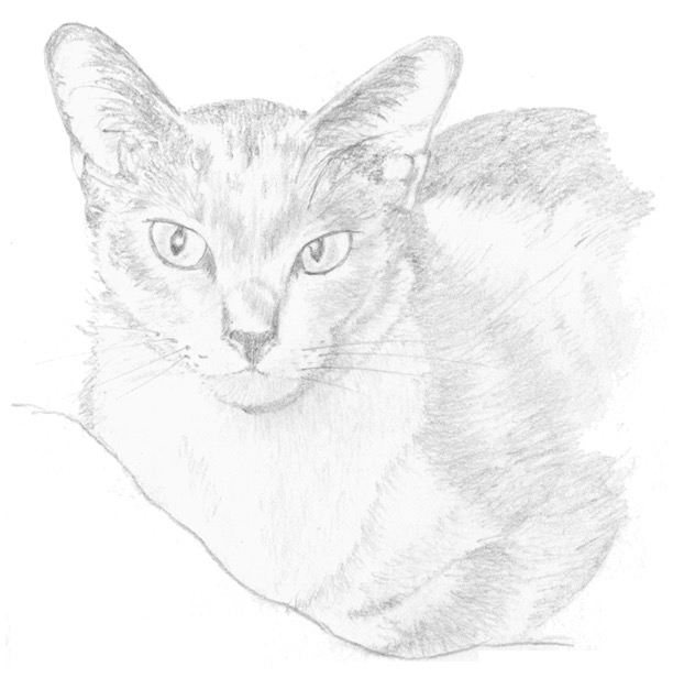 16a