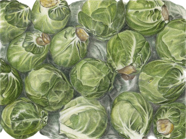 Sprouts