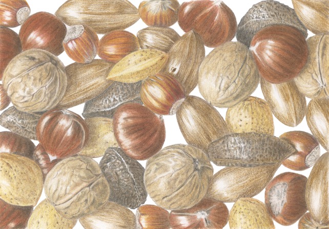 Brown Study (nuts)
